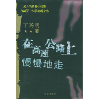 正版新书]在高速公路上慢慢地走丁旸明9787806296714