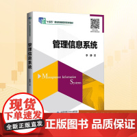 管理信息系统:李静 著 大中专文科文教综合 大中专 北京师范大学出版社