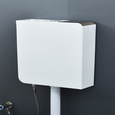 家用水箱卫生间蹲便器马桶水箱蹲坑纳丽雅抽水加厚挂墙式厕所冲水箱