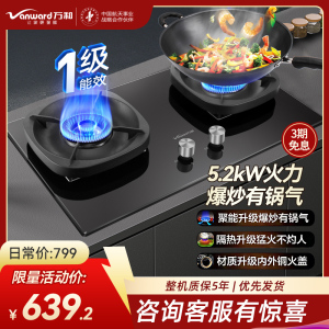 万和(Vanward) 超一级能效天然气双灶 双眼燃气灶 单灶具 5.2KW火力钢化玻璃 可调底座G6L50