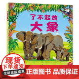 了不起的大象
