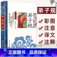 [单本注音]弟子规 [正版]论语注音版小学生课外阅读书籍儿童版一二三年级课外书小学生课外阅读物书籍影响孩子一生的国学启蒙