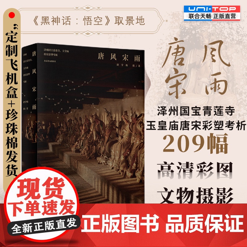 正版 唐风宋雨:泽州国宝青莲寺玉皇庙唐宋彩塑考析 黑神话悟空取景地200余幅高清彩图300余页文字解析 唐宋摄影艺术