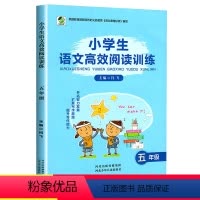 [正版]2022新版小学生语文高效阅读训练五年级上下册通用版小学语文作文写作训练练习课外阅读辅导教辅书提升写作能力拓展