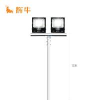 辉牛 LED户外高杆照明灯 HN-9813 套