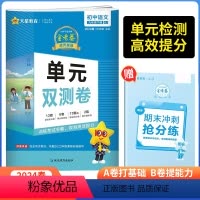 语文[人教版] 九年级下 [正版]2024新版 金考卷活页题选九年级上下册试卷语文数学英语物理化学全套 人教版北师大版