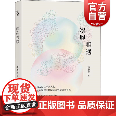 两次相遇 中国当代小说 上海文艺出版社