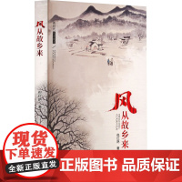 风从故乡来 倪红艳 著 中国现当代文学 文学 天天出版社
