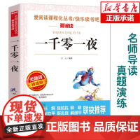 正版 一千零一夜(无障碍精读版) 爱阅读语文 阅读 中小学生课外阅读6-12周岁儿童文学小说 世界名著寒暑假开学季名著阅
