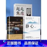 [3本]放下+静心+赶走焦虑 [正版]放下书籍 人生哲学通俗读物不抱怨的爱上生命中的青春励志书籍书做心灵鸡汤正能量心态哲