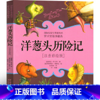 洋葱头历险记 [正版]中国少年儿童出版社 洋葱头历险记注音版三年级二年级一年级课外书小学生带拼音少儿书籍故事意大利贾尼罗