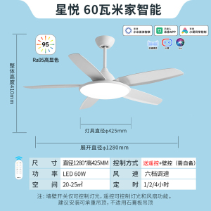 雷士照明(NVC)吊扇灯客厅餐厅家用风扇吊灯简约现代电扇灯具遥控变频隐形风扇灯