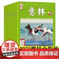 意林全彩版2023年杂志订阅期刊中学生初中生小学生版作文素材名家美文阅读精选过期过刊青少年励志书籍青年文摘读者店刊社