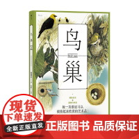 鸟巢 蔡锦文 著 科普读物