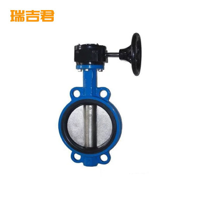 瑞吉君 涡轮对夹蝶阀 DN300 个