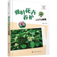 音像观叶花卉养护从入门到精通徐帮学等编