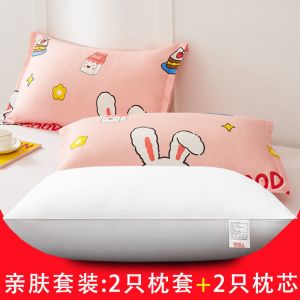 枕头芯套装一对可水洗酒店枕头家用护颈椎枕芯单人学生枕头春夏秋冬季