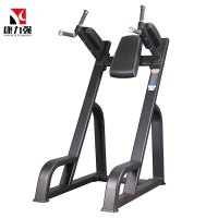 KLQ1041商用双杠站立式垂直抬腿提膝练腹架卷腹健腹训练器械