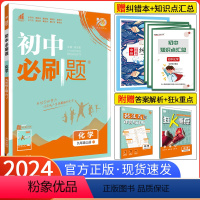 [人教版]化学 九年级下 [正版]2024新版初中九年级上册化学人教版RJ 初三化学人教版同步辅导资料 初中九上化学人教