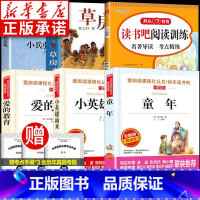 [全6册]阅读训练+小兵张嘎+草房子+小英雄雨来+爱的教育+童年 [正版]小兵张嘎草房子 广东六年级必读课外书 小英雄雨
