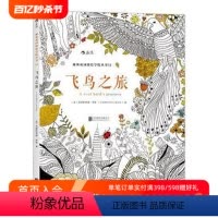 [正版]感恩 直营 飞鸟之旅 秘密花园系列 成人填色书 涂色书 解压减压手绘画册绘画图画本 我的秘密花园儿童版小学