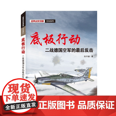 底板行动——二战德国空军的最后反击 张天骏 武汉大学出版社 正版书籍