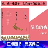 [正版]三毛全集04:温柔的夜 三毛经典文学作品 散文随笔 小说 中国现当代名著 三毛逝世二十周年纪念作品集