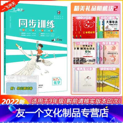 [22秋 同步训练 9年级全一册]化学 人教版(RJ) 九年级/初中三年级 [友一个正版]天津专版 2022秋新一飞冲天