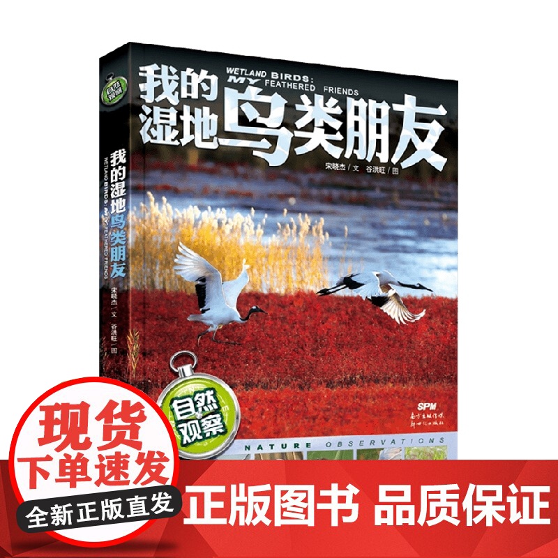 自然观察 我的湿地鸟类朋友 7-10岁 宋晓杰 著 科普百科