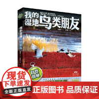 自然观察 我的湿地鸟类朋友 7-10岁 宋晓杰 著 科普百科