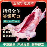 宁夏滩羊新鲜30斤整只羊全羊半只羊礼盒包装