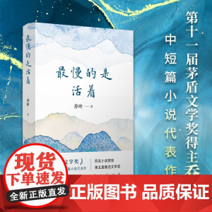 最慢的是活着 乔叶 著 小说