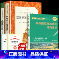 钢铁+经典常谈+八下优美句段练字帖 [正版]钢铁是怎样炼成的和经典常谈朱自清初中原着 八年级下册阅读名著课外书 全套完整