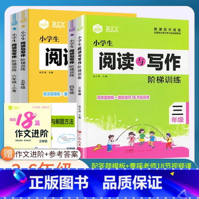 阅读写作阶梯训练(视频+课件) 小学三年级 [正版]思脉小学生语文分级阅读训练一1二2三3四4五5六6年级人教版语文阅读