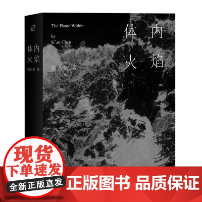 体内火焰 陈思安当代世界出版社