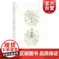 向日葵 新版苏童作品系列中国当代文学重量级佳作茅盾文学奖得主苏童经典作品上海文艺出版社现当代文学正版图书籍