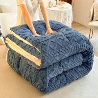 汉司家纺 HANSI-XP01提花雕花羊羔绒被 150*200cm 被子(计价单位:条)蓝色