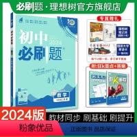 数学 七年级上 [正版]理想树2024版初中七年级上册数学华师版初中同步练习七年级数学教辅资料随堂一遍过数学同步刷题知识