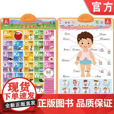正版 瑞莉兔双面发声大挂图 英文字母 身体表情 海润阳光 触摸按键 儿童认知能力教育 幼儿早教 小儿益智