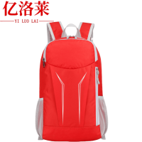 亿洛莱 徒步双肩包 27*14*43cm 个