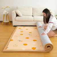 榻榻米垫子炕垫子地铺睡垫可折叠床垫打地铺隔寒垫防滑垫