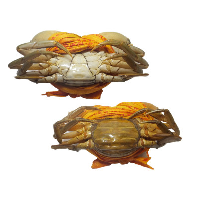 青蟹价格 青蟹最新报价 青蟹多少钱 苏宁易购