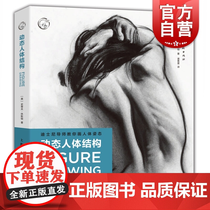 动态人体结构 迪士尼导师教你画人体姿态 人物素描速写基础入门 手绘绘画教程 人体绘画灵感与技巧 手绘速写 绘画书籍 上海
