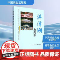 洪泽湖鱼类志 陈宇顺,张胜宇,谢松光 编 渔业专业科技 正版图书籍 中国农业出版社