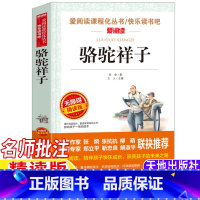 骆驼祥子 [正版]骆驼祥子五年级下册老舍原著名师导读带批注考点无障碍精读版立人主编天地出版社小学生三四五六年级课外书籍