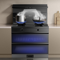 万和Vanward集成灶JJZT-X2 4.9KW一级能效触控消毒柜展翼拢烟上进风双眼高效节能