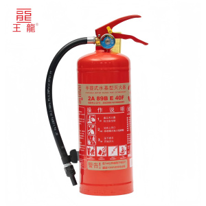 王龙 手提式水基型灭火器 3升 具
