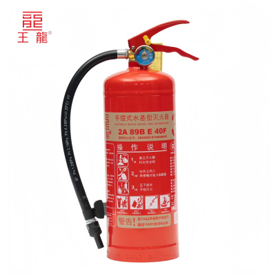 王龙 手提式水型灭火器 MS/ABEF3 具