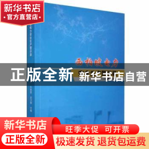 正版 西柏坡电力安全生产警示录 张寿岩,朱春雷,史卫刚著 天津