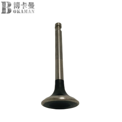 博卡曼排气门BKM177F14721/个